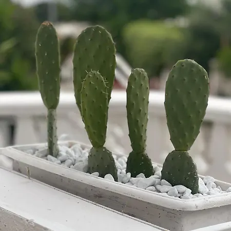 Trilocale 1 Sul Mare Διαμέρισμα *